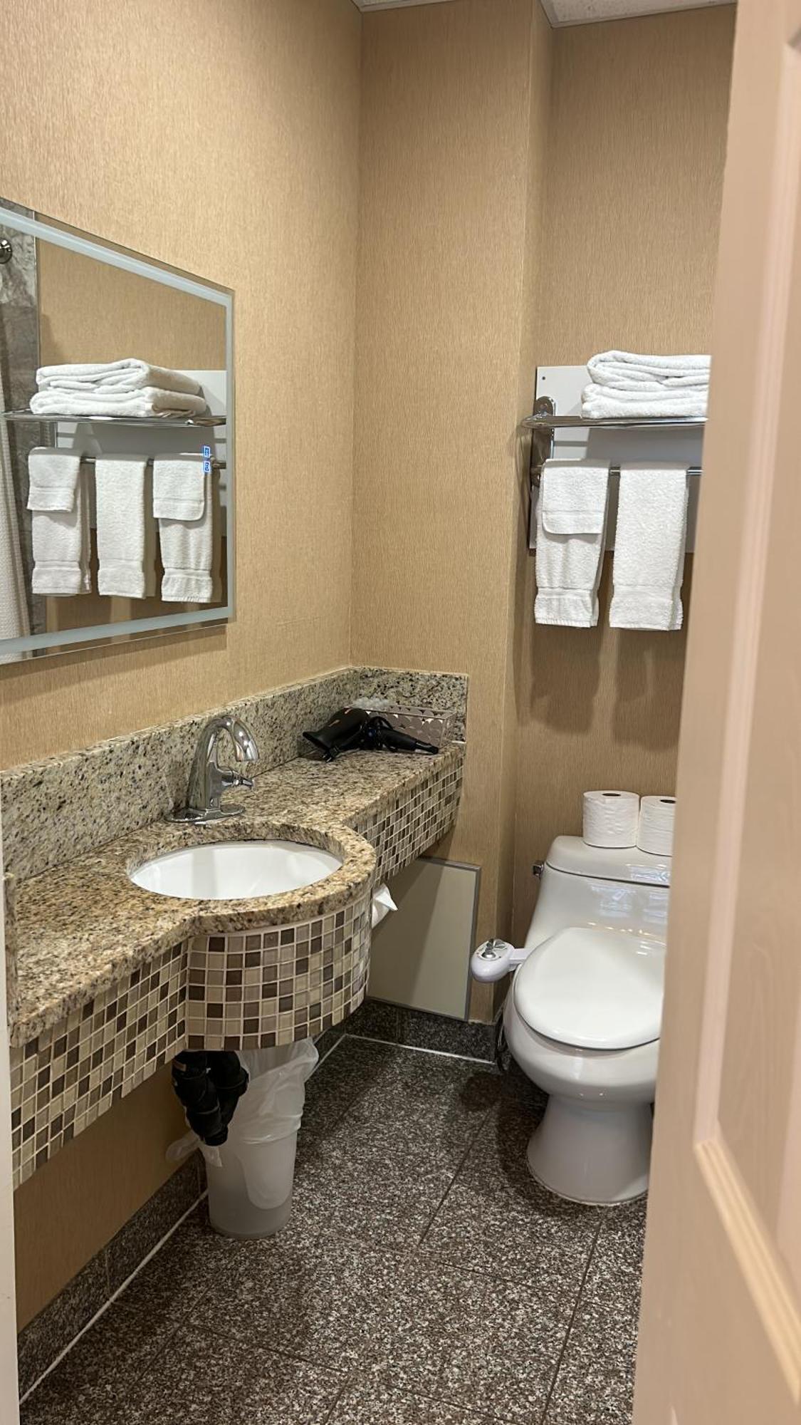 Deluxe King Suite